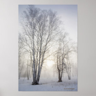 Vit Träd på en snödag Poster
