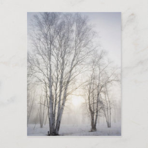 Vit Träd på en snödag Vykort