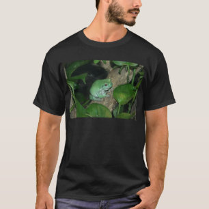Vit trädgroda, kort och tjock groda t-shirt