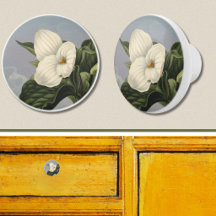 Vit Trillium-blomma i Temple of Flora-stil