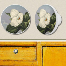 Vit Trillium-blomma i Temple of Flora-stil  Knopp
