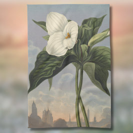 Vit Trillium-blomma i Temple of Flora-stil Kökshandduk