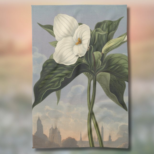 Vit Trillium-blomma i Temple of Flora-stil  Kökshandduk (Skapare uppladdad)
