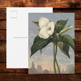 Vit Trillium-blomma i Temple of Flora-stil  Vykort