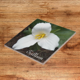 Vit trilliumblomma Blommigt Tile Kakelplatta