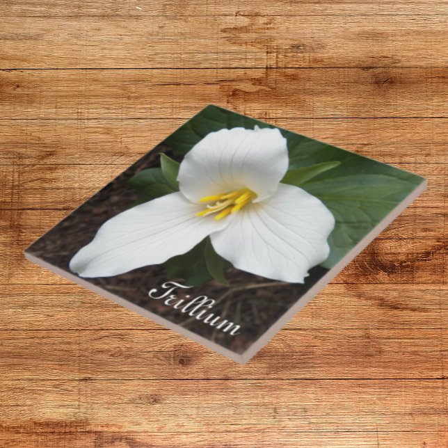 Vit trilliumblomma Blommigt Tile Kakelplatta (In Situ)