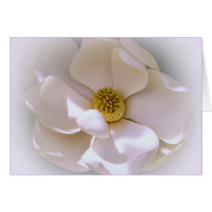 Vit Tropisk Magnolia-blomma i blommar Hälsningskort