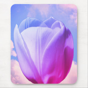 Vit Tulip Flower-tonad Musmatta