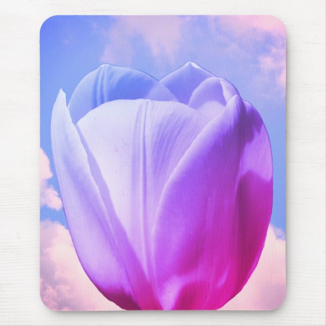 Vit Tulip Flower-tonad Musmatta (Framsidan)