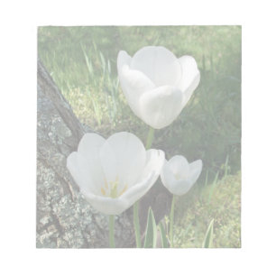 Vit tulips, färglös trio anteckningsblock