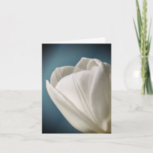 Vit tulpanblomma fotografering anteckningskort
