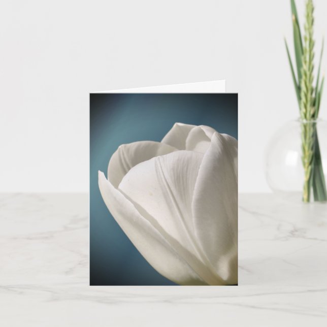 Vit tulpanblomma fotografering  anteckningskort (Framsida)