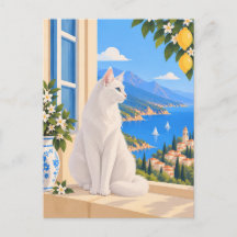 Vit turkisk Angora medelhavet