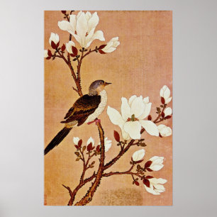 vit Turtledove på Blommar Gren, Chiang T. Poster