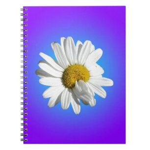 Vit tusenskönablomma Blommande lila blå gradient Anteckningsbok Med Spiral