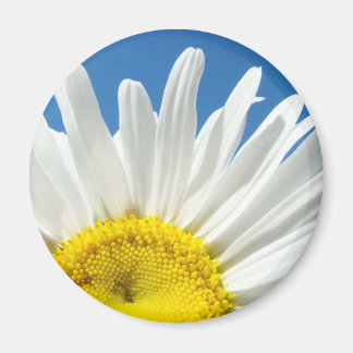 Vit tusenskönemagnet Tusensköna Blommor Blommig Magnet
