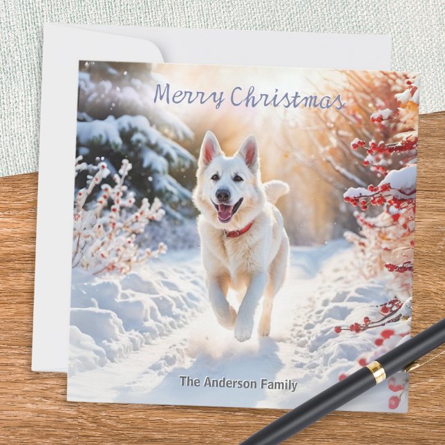 Vit tysk shepherd Hund Alsatian-jul Julkort (A Christmas card with a picture of a white German Shepherd dog out for a walk in the winter snow)