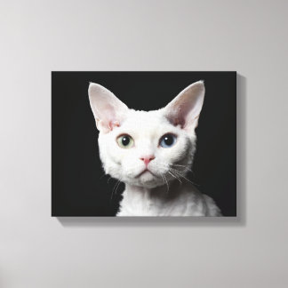 Vit, udda katt canvastryck
