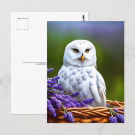 Vit Uggla i Lavendel, Postcrossing Vykort