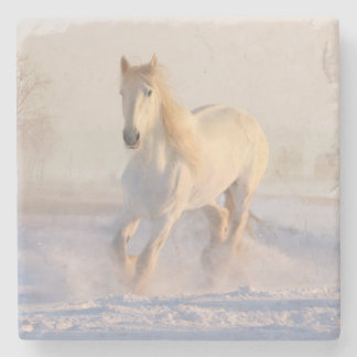 Vit, vacker hingst som går genom Snö Stenunderlägg