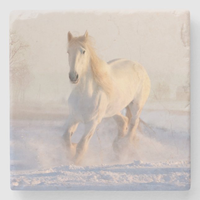 Vit, vacker hingst som går genom Snö Stenunderlägg (Framsidan)