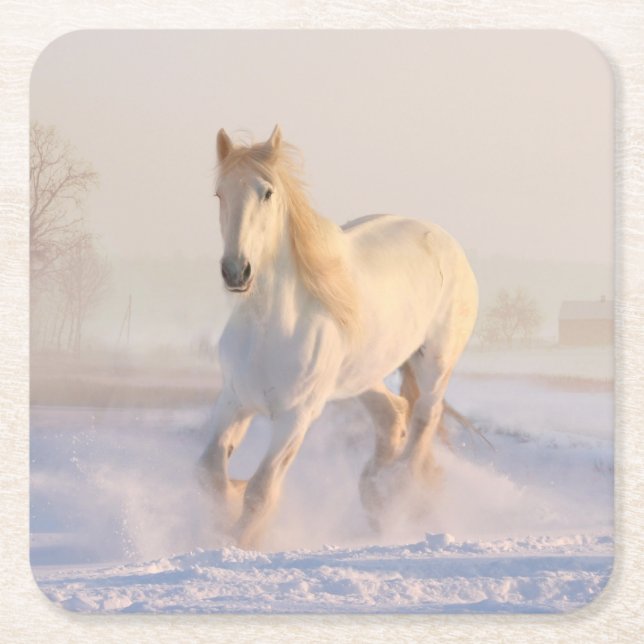 Vit, vacker hingst som går genom Snö Underlägg Papper Kvadrat (Framsidan)
