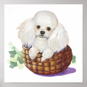 Vit valp i Pudel i en Basket Art-utskrift Poster