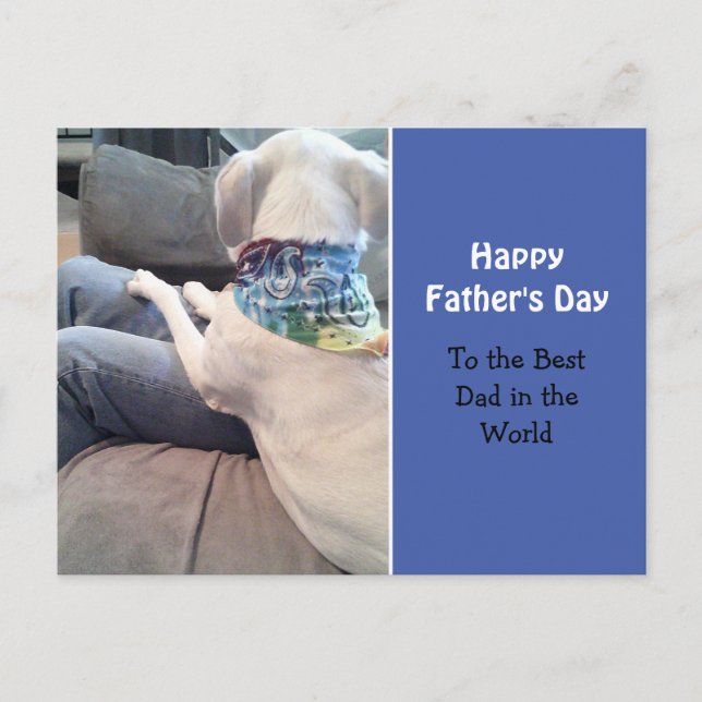 Vit valpen Hund med färgad scarf blå Vykort (Framsida)