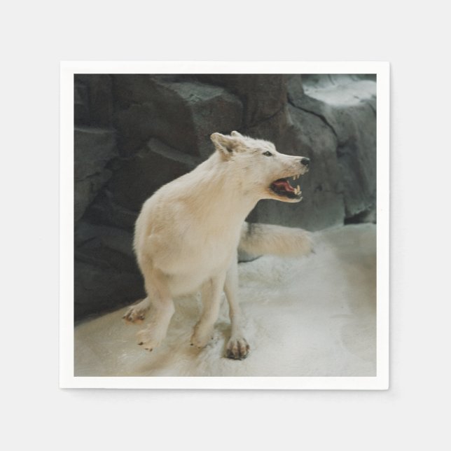 Vit Varg Pappersservett (Framsidan)