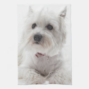 Vit Väster Highland Terrier Kökshandduk