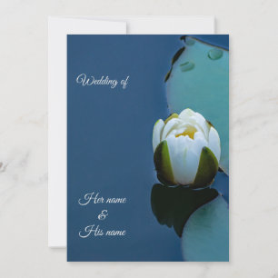 Vit vatten lily i dammen, naturfotografi inbjudningar
