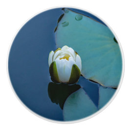 Vit vatten lily i dammen, naturfotografi knopp
