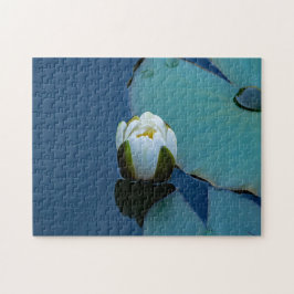Vit vatten lily i dammen, naturfotografi pussel
