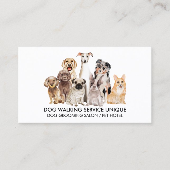 Vit vattenfärg Hundar Groomer Pet Sitter Visitkort (Framsida)