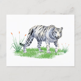 Vit vattenfärgsvit tiger vykort