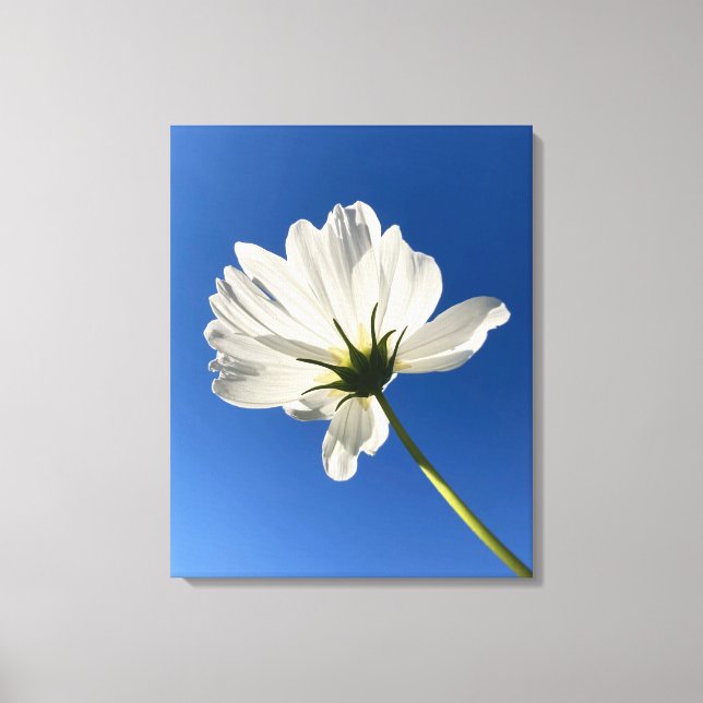 Vit Vild Blomma Canvas Konst (Framsida)