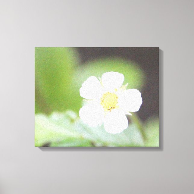 Vit Vild Jordberry Bloom Canvastryck (Framsida)