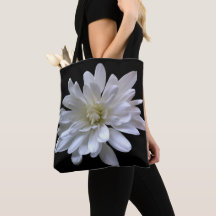 Vit vit blommigt vit daisy svart