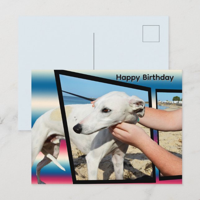 Vit Whippet Dimensionskonst, Födelsedagskort Vykort (Fram/baksida)