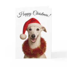 Vit whippet i Santa hatt julkort