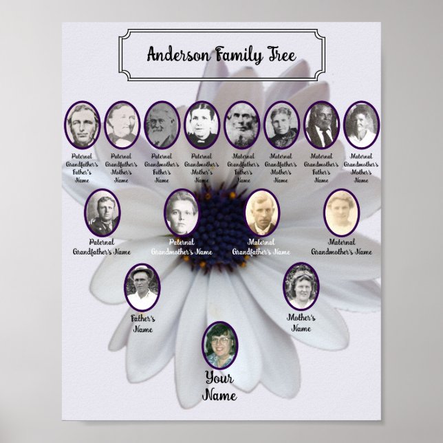 Vita afrikanska tusensköna ovala förfädersfoton poster (Framsidan)