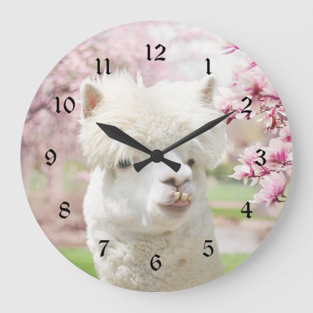 Vita Alpaca Stor Klocka (Framsida)