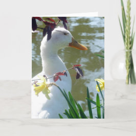 Vita Anka i Daffodils Glad påsk-kortet Helgkort