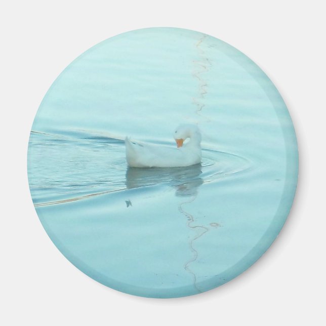 Vita Anka-magnet Magnet (Framsidan)