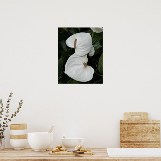 Vita Anthurium-blommor Fotografisk Poster (Kök)