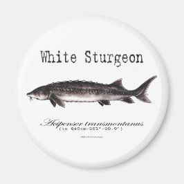 Vita artiklar med titel magnet