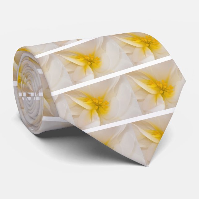 Vita Begonia Slips (Rullad)