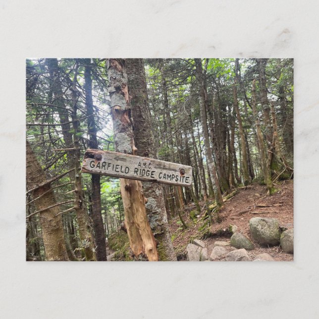 Vita berg Garfield Ridge Campsite-vykort Vykort (Framsida)