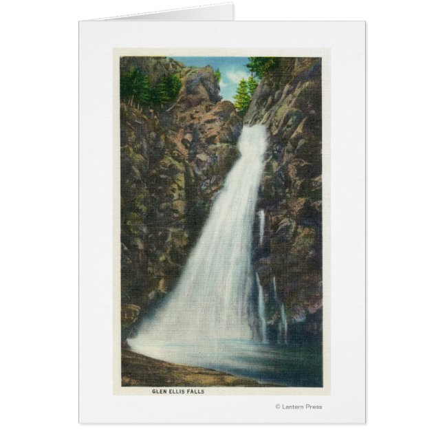 Vita bergen Nat'l Forest Hälsningskort (Framsidan)