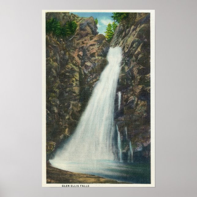 Vita bergen Nat'l Forest Poster (Framsidan)